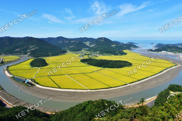 자연,옥외,필드,nature,nature,outdoors,outdoors,field,field,Yeonggwang Beopseongpo Daedeoksan Muldori,Yeonggwangbeopseongpo,Yeonggwangbeopseongpodaedeoksan mountain,Beopseong Po Daedeok Products Products Dori,Yeonggwangbeopseong Paramoldol,Beopseong paramoldori,Yeonggwangbeopseongpohansirang field,Beopseongpo Hansirang Field,Glorious Sirang Field,Daedeok Mountain Muldori,1251411626