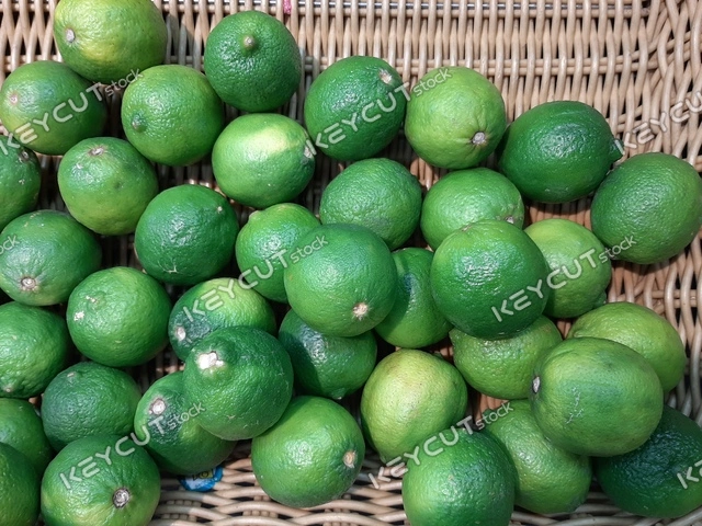 감귤류,라임,음식,과일,lime,Lime,citrusfruit,citrus fruits,food,food,fruit,fruit,Fresh lime,1285114940
