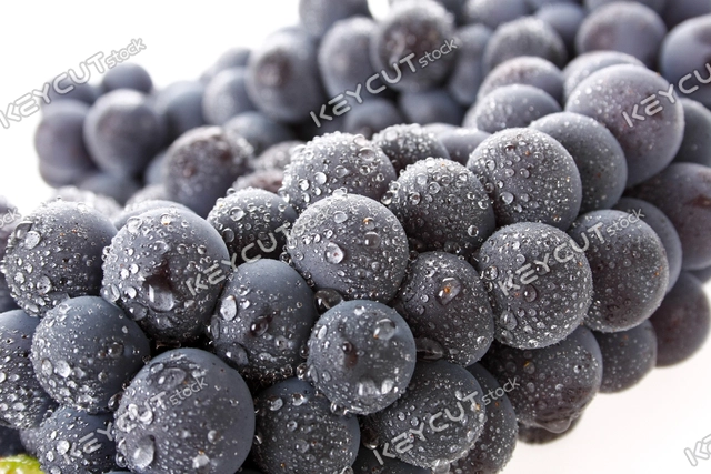 포도,포도,과일,음식,grape,red grapes,fruit,seasonal fruits,grapes,fruit,food,1319267219