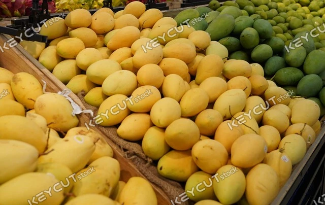 망고,과일,열대 과일,mango,yellow mango,tropical fruit,fruit,mango,fruit,1379327545