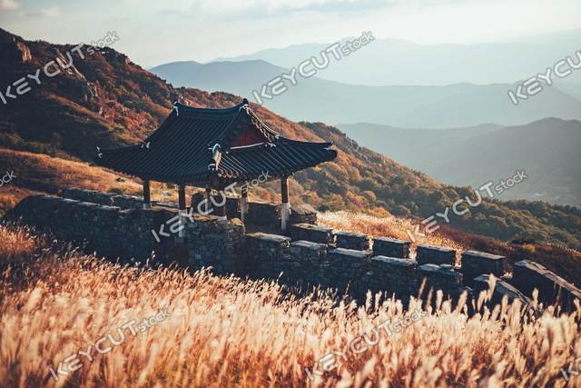 가을,일몰,Hwangmaesan Mountain,Silver grass,autumn,sunset,sunset,1573483411