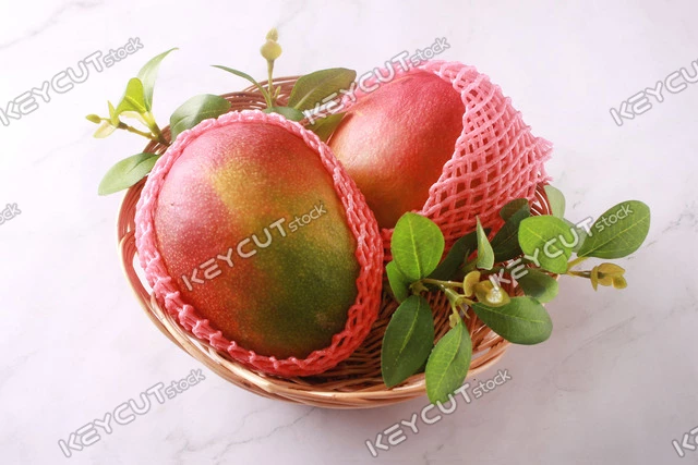 망고,과일,음식,fruit,Apple Mango,mango,fruit,food,food,mango,1656678755