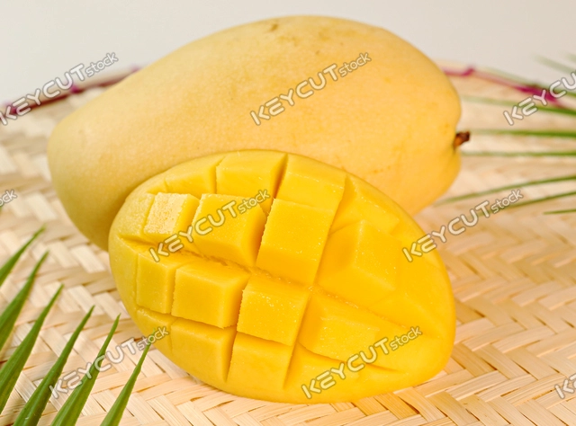 망고,과일,열대 과일,fruit,fruit,exotic fruit,mango,mango,tropical fruit,Southeast Asian fruits,1809484274