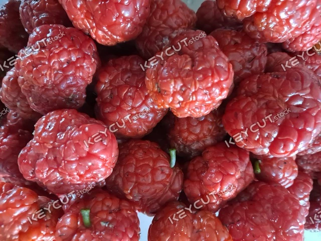 과일,음식,식물,Gucci Pong,Fruit,guccipony,fruit,food,food,fruit,plant,plant,1848325766