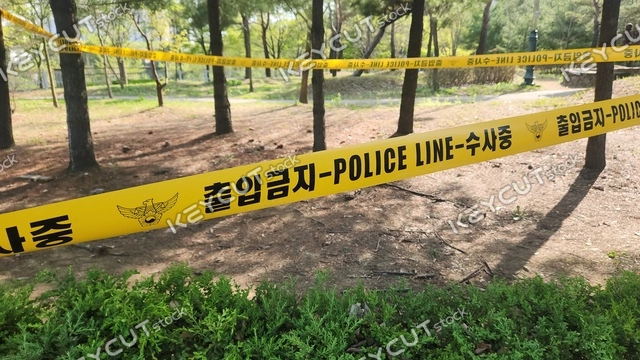 ,police line,policeline,incident scene,neighborhood park,police line,1884320267