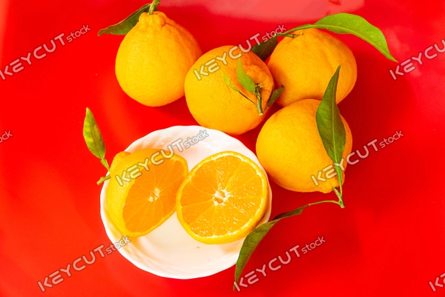 음식,주황색,과일,감귤류,orange,orange,food,food,fruit,fruit,citrusfruit,citrus fruits,hallabong,Hallabong,1972752609