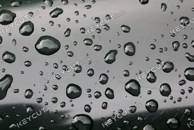 비,작은 물방울,추운,신선한,확대,drop,droplet,water,rain,fresh,freshness,nature,wet,macro,closeup,raindrop,eco,spring,background,texture,liquid,bubbles,black,clean,cool,cold,1688499281