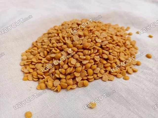 렌틸 콩,토르,완두콩,문화,병아리콩,seed,arhar,pigeon pea,gunga pea,toor dal,beans,split,daal,mung,yellow,moong dal,moong,dal,india,lentils,chick,group,chana,pea,daal chana,yellow lentils,peas,chickpea,chickpeas,indian,fresh,healthy,dish,legume,vegan,dry,raw,toor,organic,bean,grain,diet,protein,whole,culture,food,produce,lentil,cuisine,nature,harvest,cooking,isolated,brown,background,1784276476