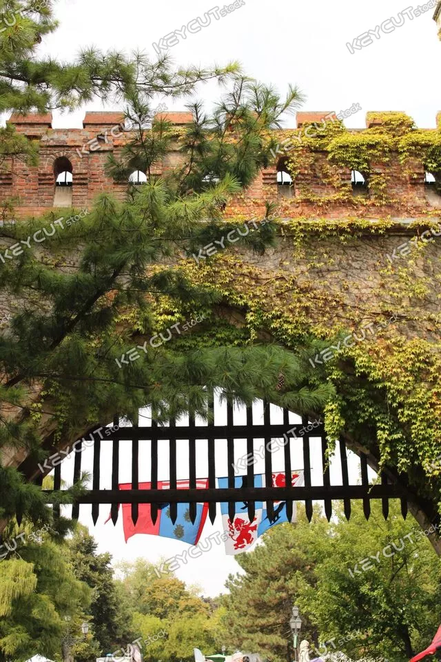 중세,벽,유산,잎,깃발,castle,gate,medieval,flags,greenery,ivy,historical,architecture,brick,wall,nature,outdoor,travel,tourism,landmark,heritage,ancient,old,fortress,entrance,arch,foliage,scenic,trees,summer,europe,1861971903