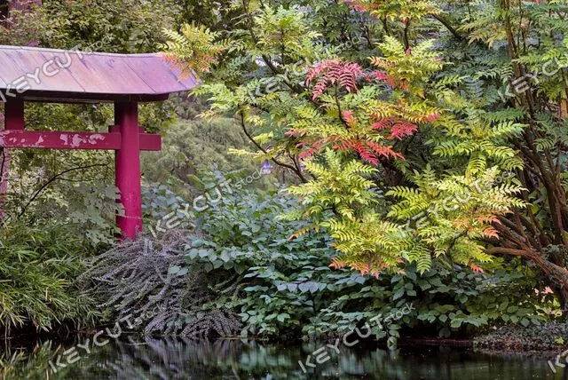 레버쿠젠,관광 여행,외부,경계표,독일,building,red,coated,pagoda,styled,japanese,garden,leverkusen,germany,architecture,travel,landmark,tourism,facade,exterior,outdoors,outside,trees,europe,1941437923