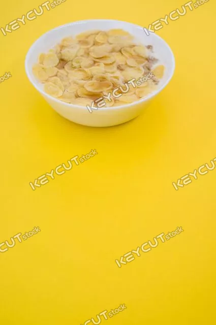 맛있는,배경,그릇,간식,건강한,cornflakes,milk,bowl,isolated,yellow,background,top,view,healthy,food,nutrition,breakfast,closeup,organic,natural,snack,fresh,diet,meal,health,tasty,grain,nobody,gourmet,eating,homemade,vertical,1974136323